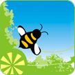 Honing, nectar, bijen en imkers